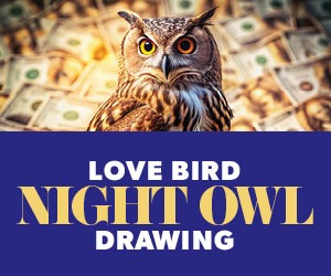 Love Bird Night Owl Drawing